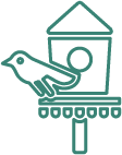 bird feeder